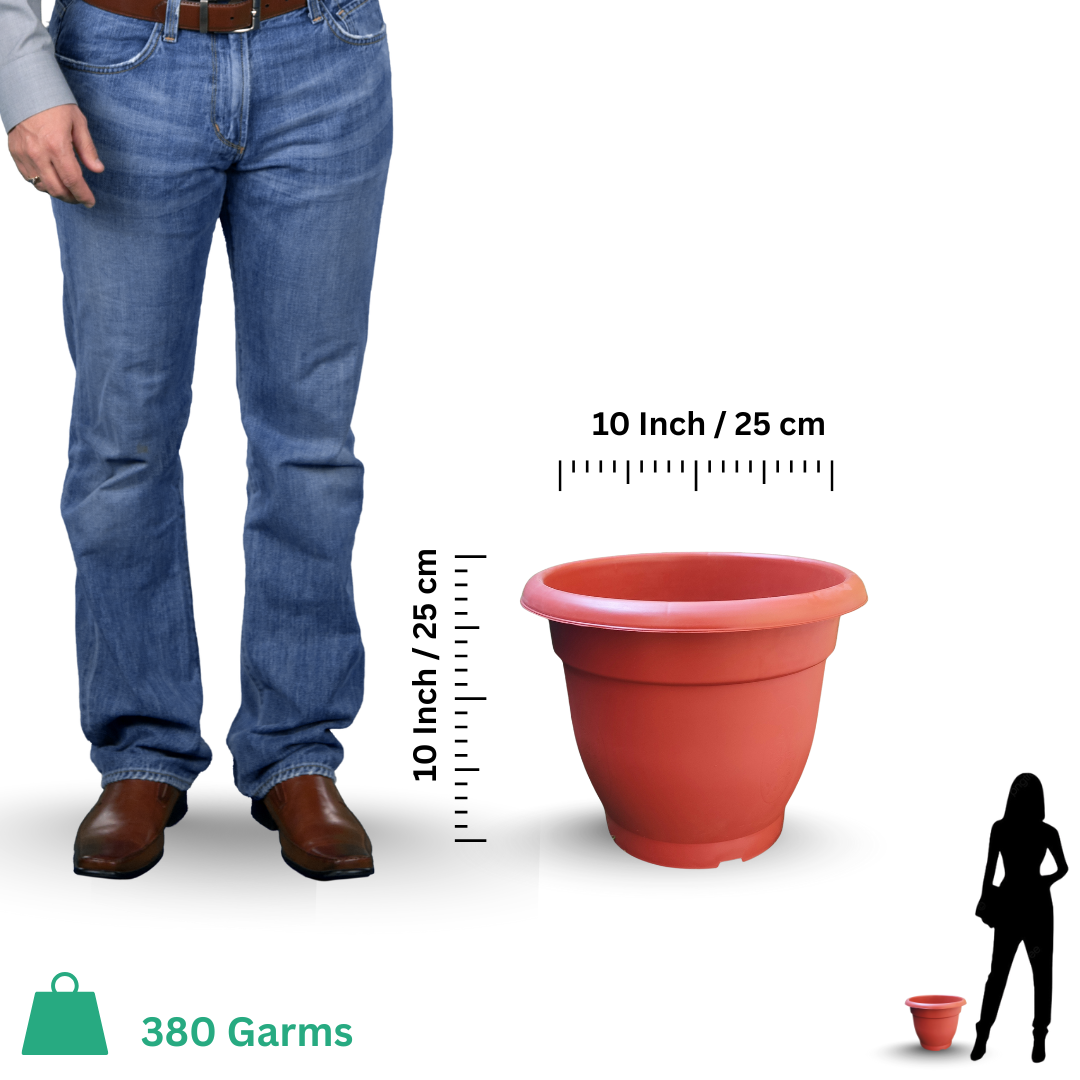 10 Inch Gardening Pot | Outdoor Planter Suitable Size for Terrace and Balcony | Easily Moveable and Suitable for Most Plants