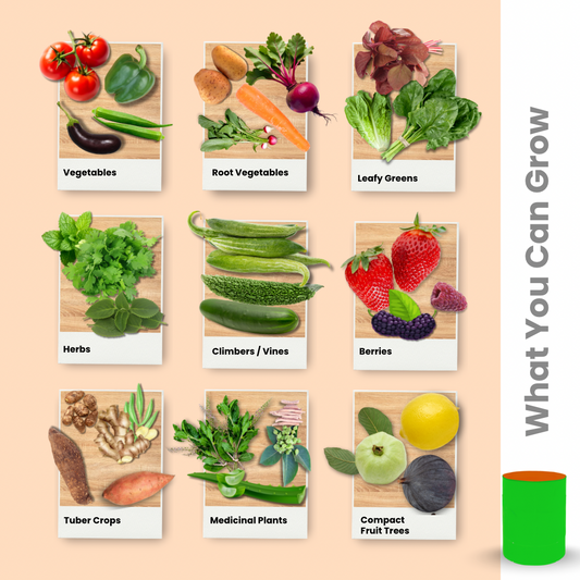 HDPE Green Grow Bag (15x12 inches)